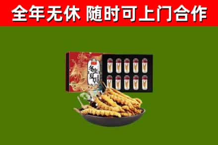 富宁回收冬虫夏草价格